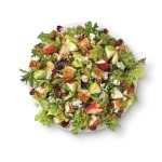 Wendy’s Menu with Prices & Calories USA Updated (2025) 34 Wendys Apple Pecan Salad